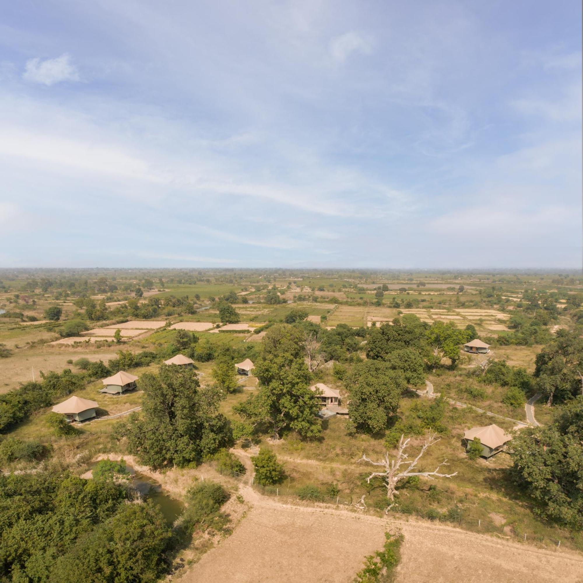 Отель Trees N Tigers, Tadoba Kolara Экстерьер фото